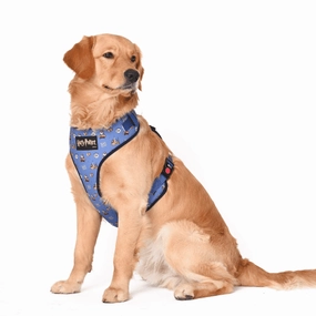 Harry Potter Welcome To Hogwarts Harness for Dogs