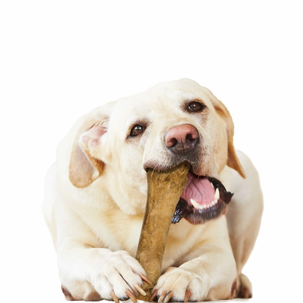 Healthy Edibles Chicken Flavor Dog Dental Chews