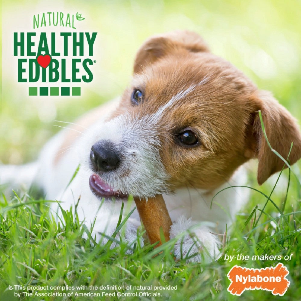 Healthy Edibles Chicken Flavor Dog Dental Chews