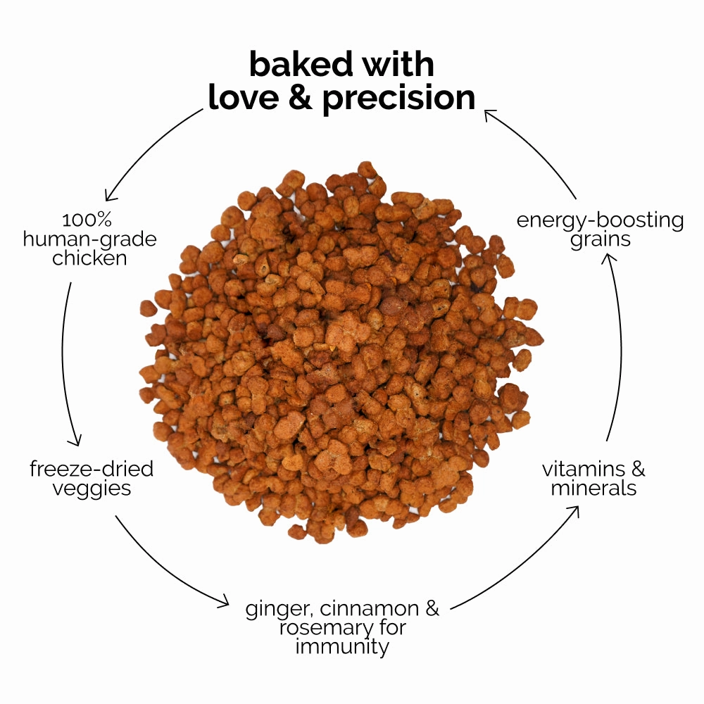 Henlo Chicken and Egg Baked Dry Food for Adult Dogs & Puppies | 100% Human Grade Ingredients