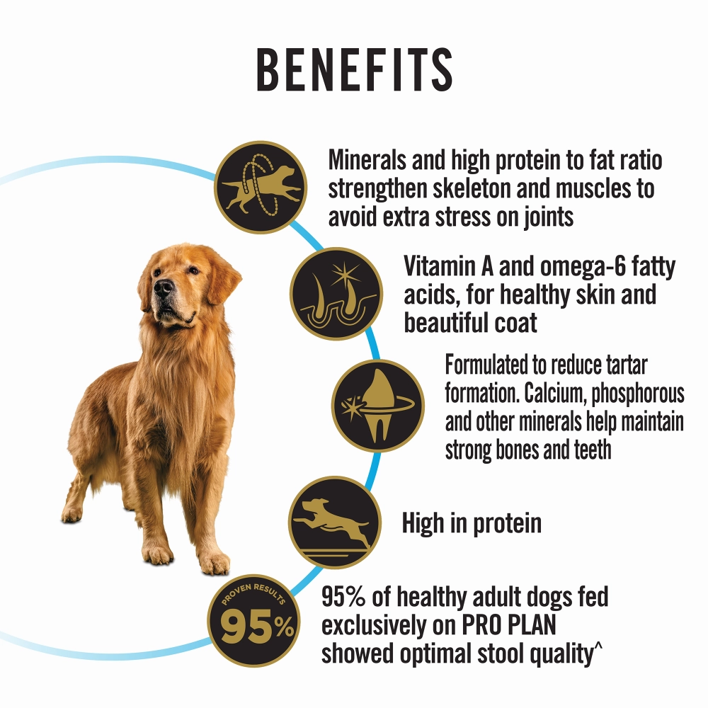 Henlo Jerky, JerHigh Soft, Bark Out Loud En Dewor Dewormer, Pro Plan Dry Food & Goofy Tails Chew Toy Limited Dog Hamper