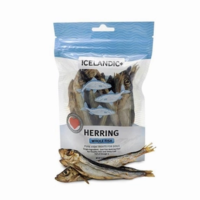 Herring Whole Fish