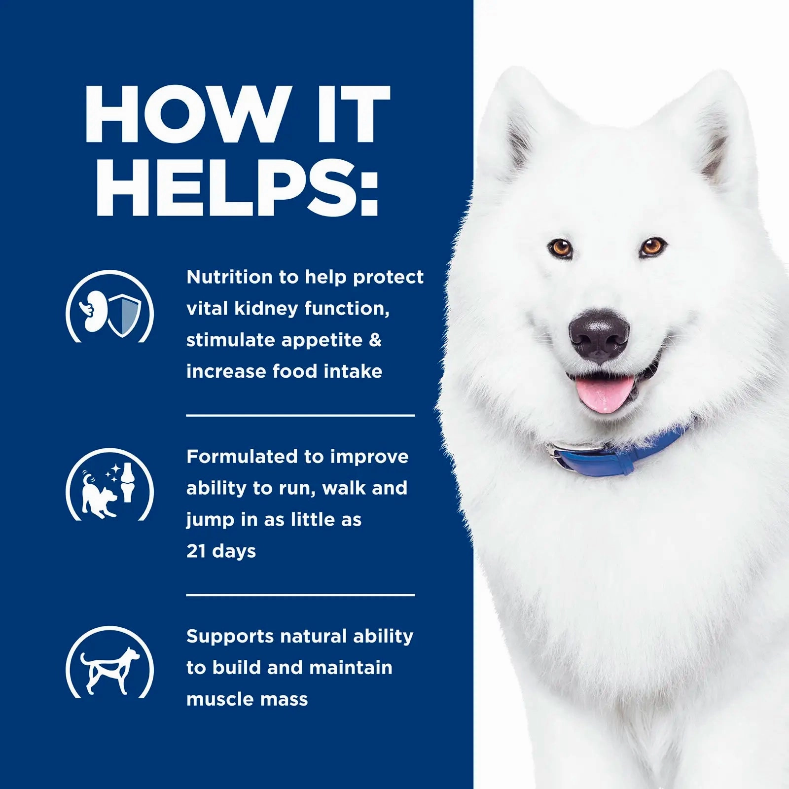 Hill's Prescription Diet - Canine k/d   j/d (Kidney & Mobility)