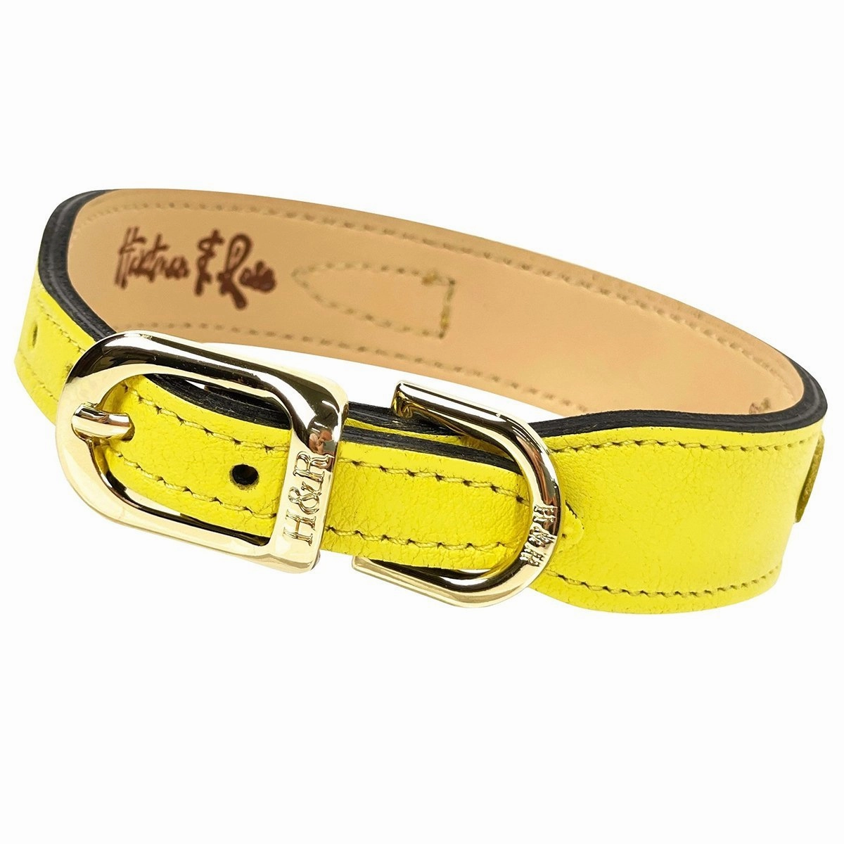 Holiday Collection Dog Collar Canary Yellow