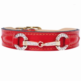 Holiday Collection Dog Collar Tangerine
