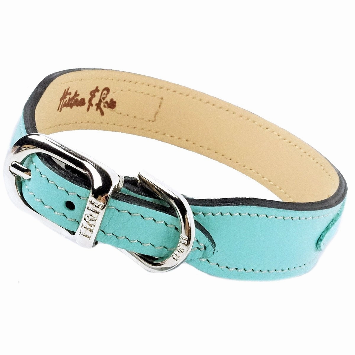 Hugs And Kisses Collection Dog Collar Turquoise/Nickel