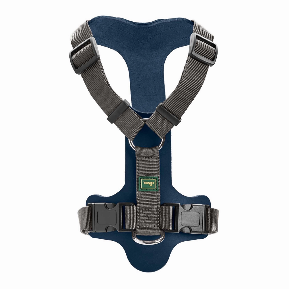 Hunter Aalborg Mixed Adjustable Harness for Dogs (Blue/Grey)