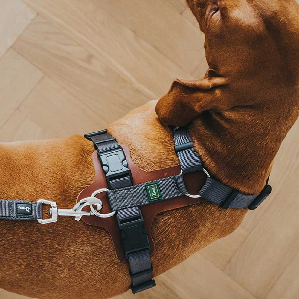Hunter Aalborg Mixed Adjustable Harness for Dogs (Cognac/Grey)