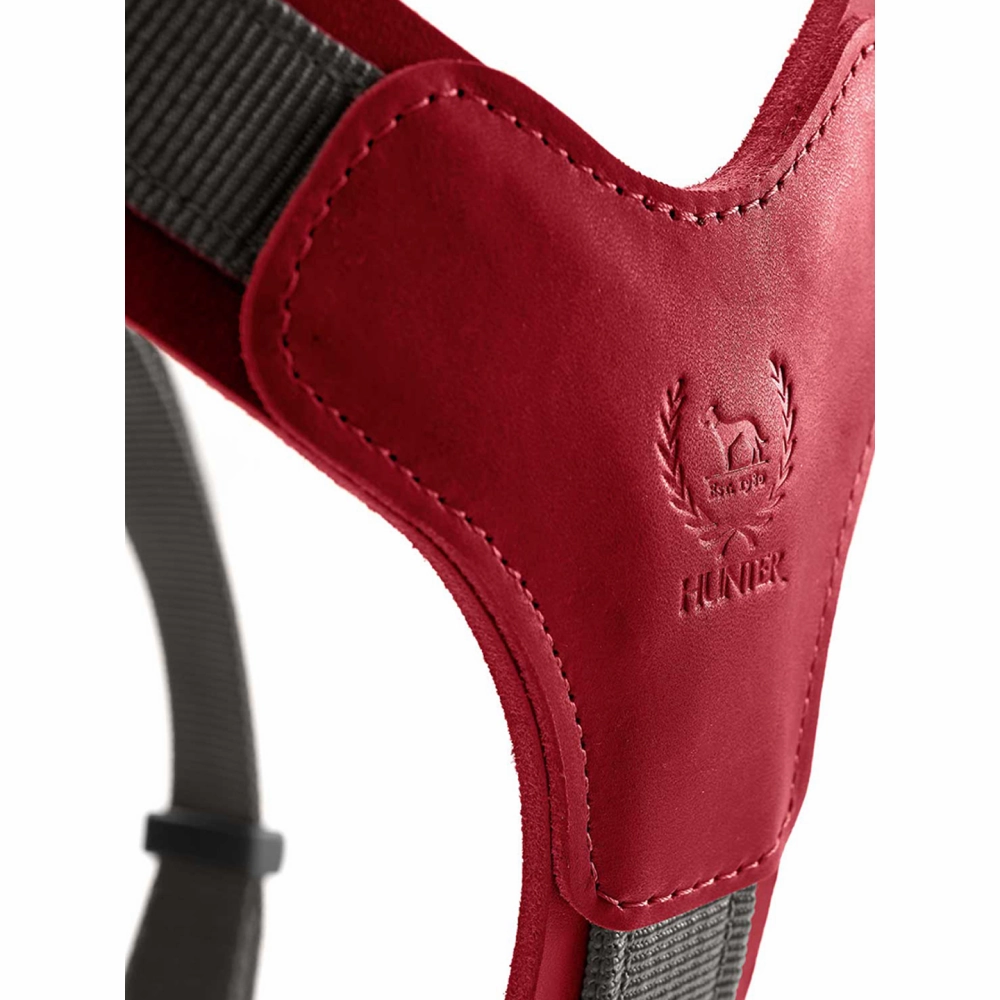 Hunter Aalborg Mixed Adjustable Harness for Dogs (Grey/Red)