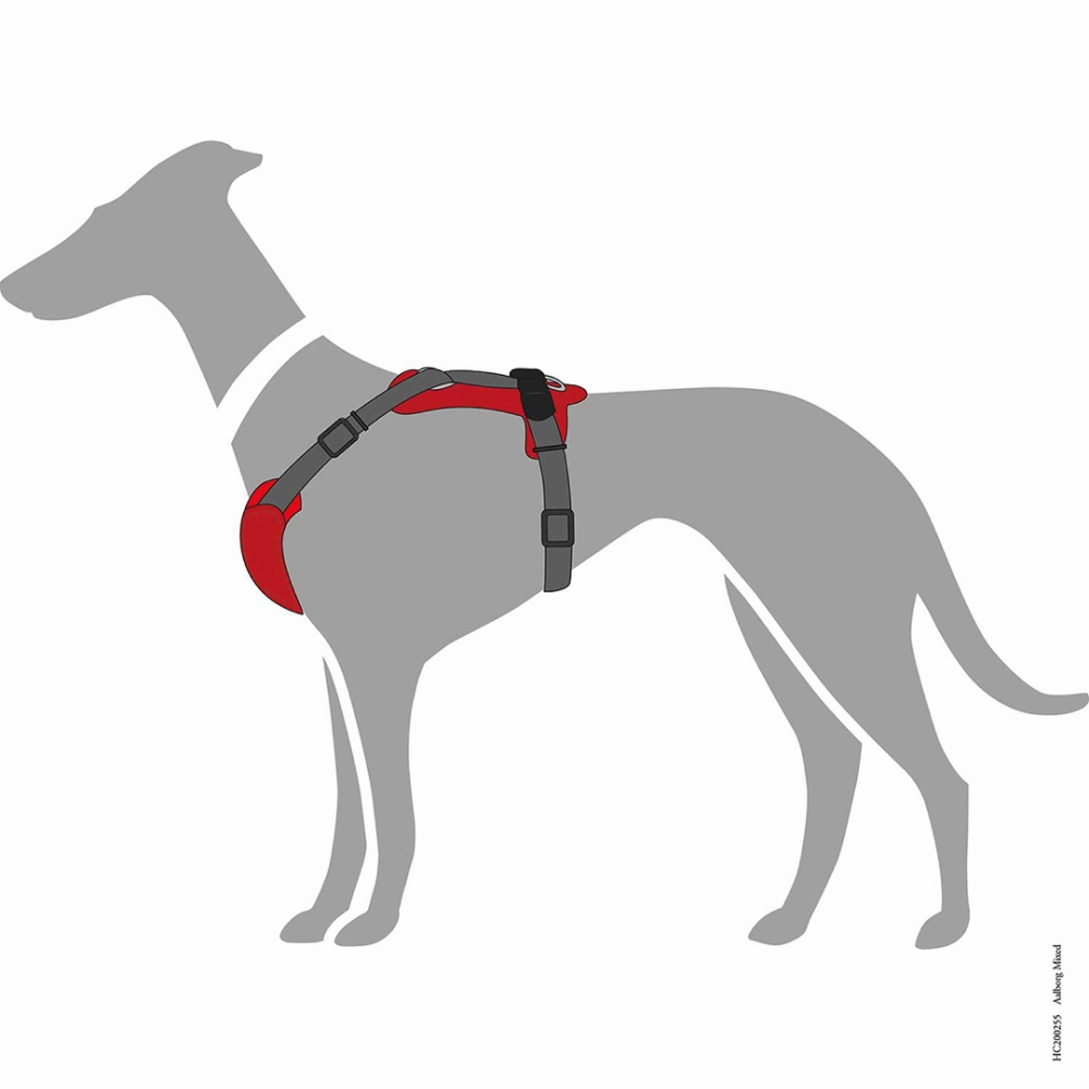 Hunter Aalborg Mixed Adjustable Harness for Dogs (Grey/Red)