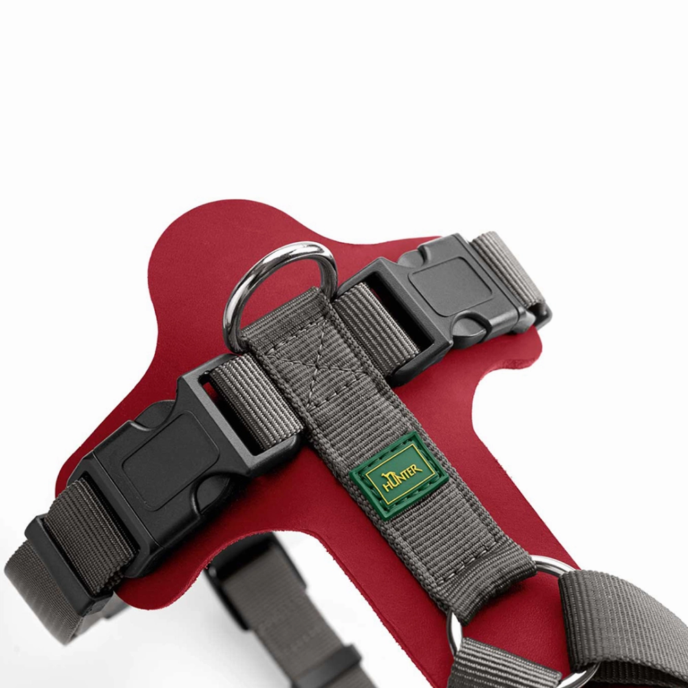 Hunter Aalborg Mixed Adjustable Harness for Dogs (Grey/Red)