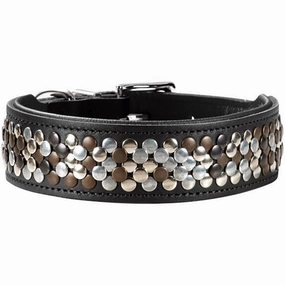 Hunter Arizona UP Collar for Dogs (Black)