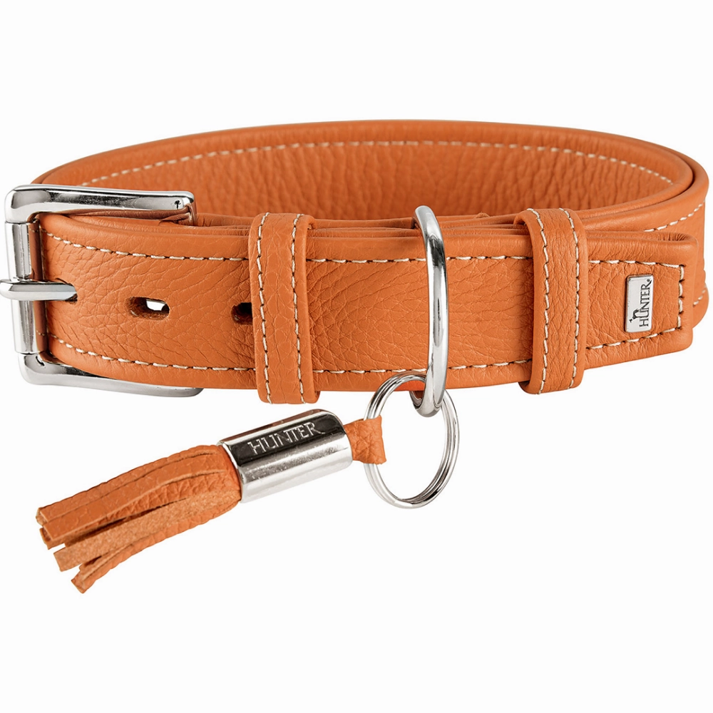 Hunter Cannes Collar for Dogs (Orange)