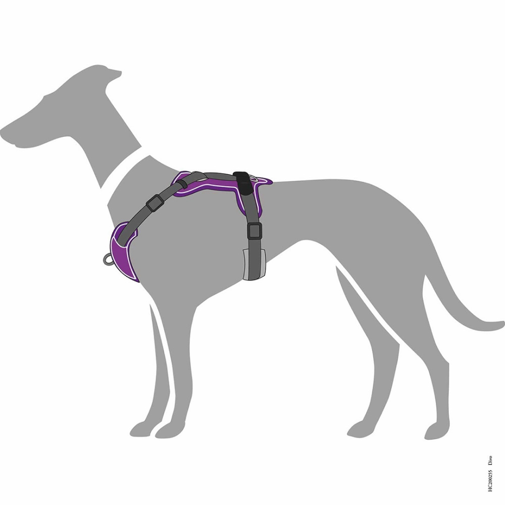 Hunter Divo Harness for Dogs (Violet)
