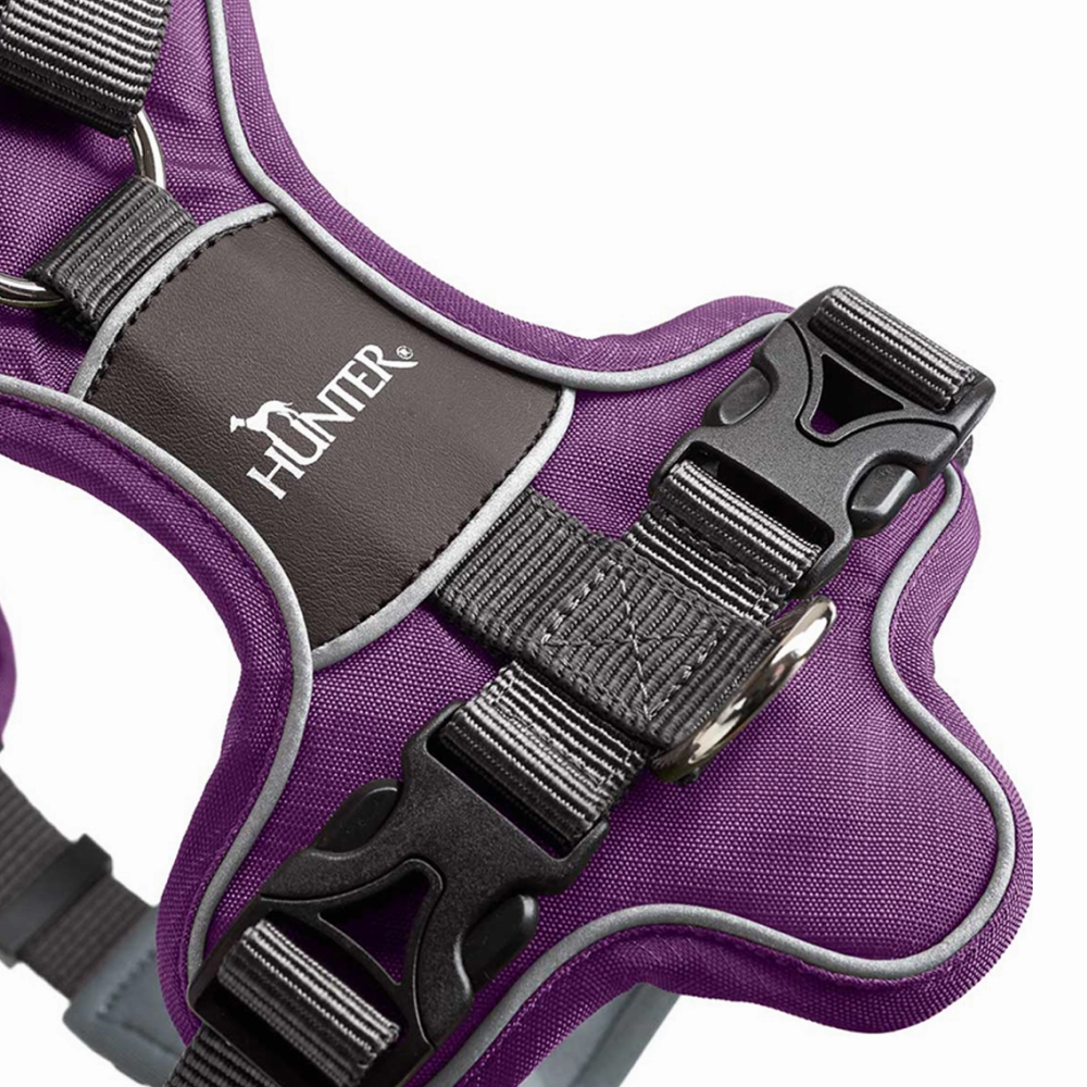 Hunter Divo Harness for Dogs (Violet)