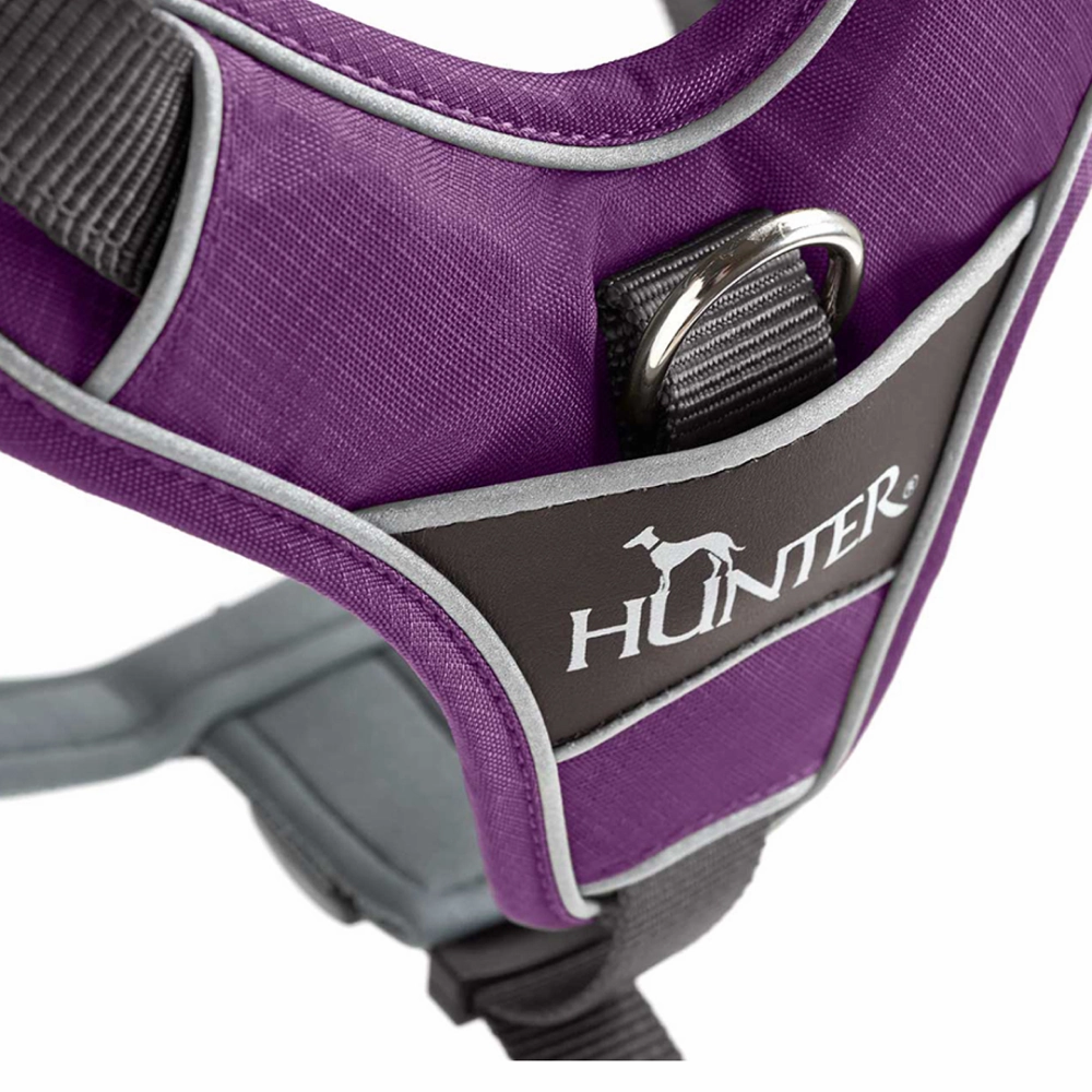 Hunter Divo Harness for Dogs (Violet)