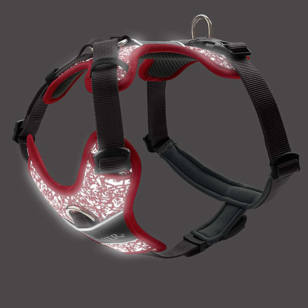Hunter Divo Reflect Harness for Dogs (Red)