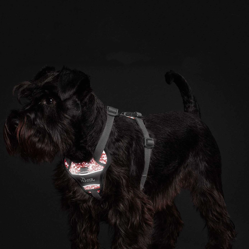 Hunter Divo Reflect Harness for Dogs (Red)
