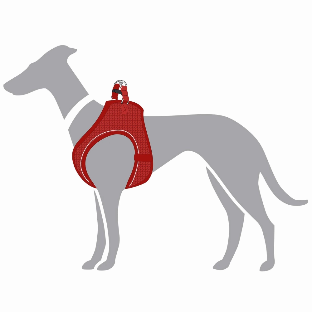 Hunter Hilo Comfort FC Bayern Mnchen Harness for Dogs (Red)