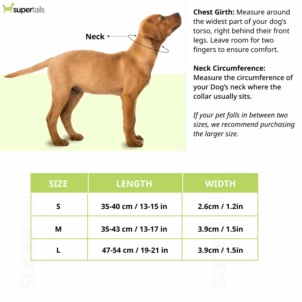 Hunter Magic Star Collar for Dogs (Red)