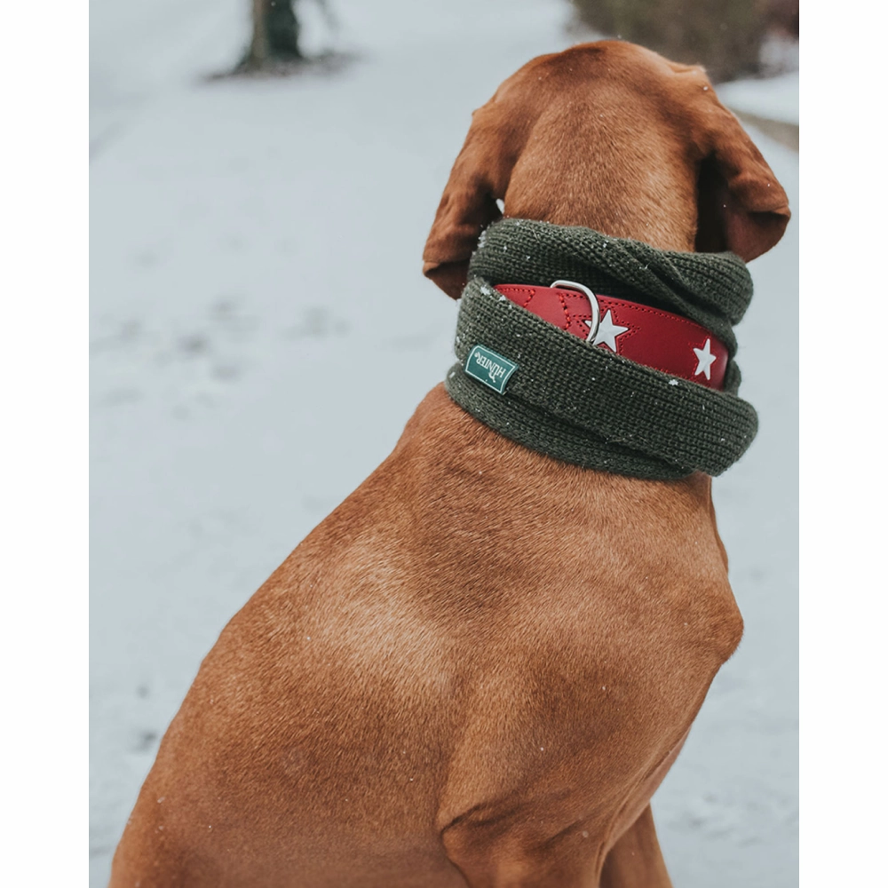 Hunter Magic Star Collar for Dogs (Red)