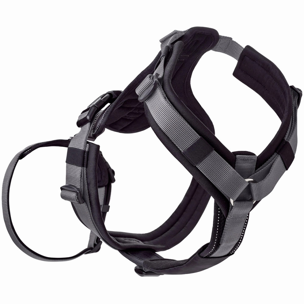 Hunter Maldon Safety Harness for Dogs (Black)