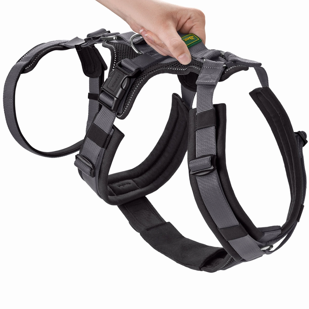 Hunter Maldon Safety Harness for Dogs (Black)