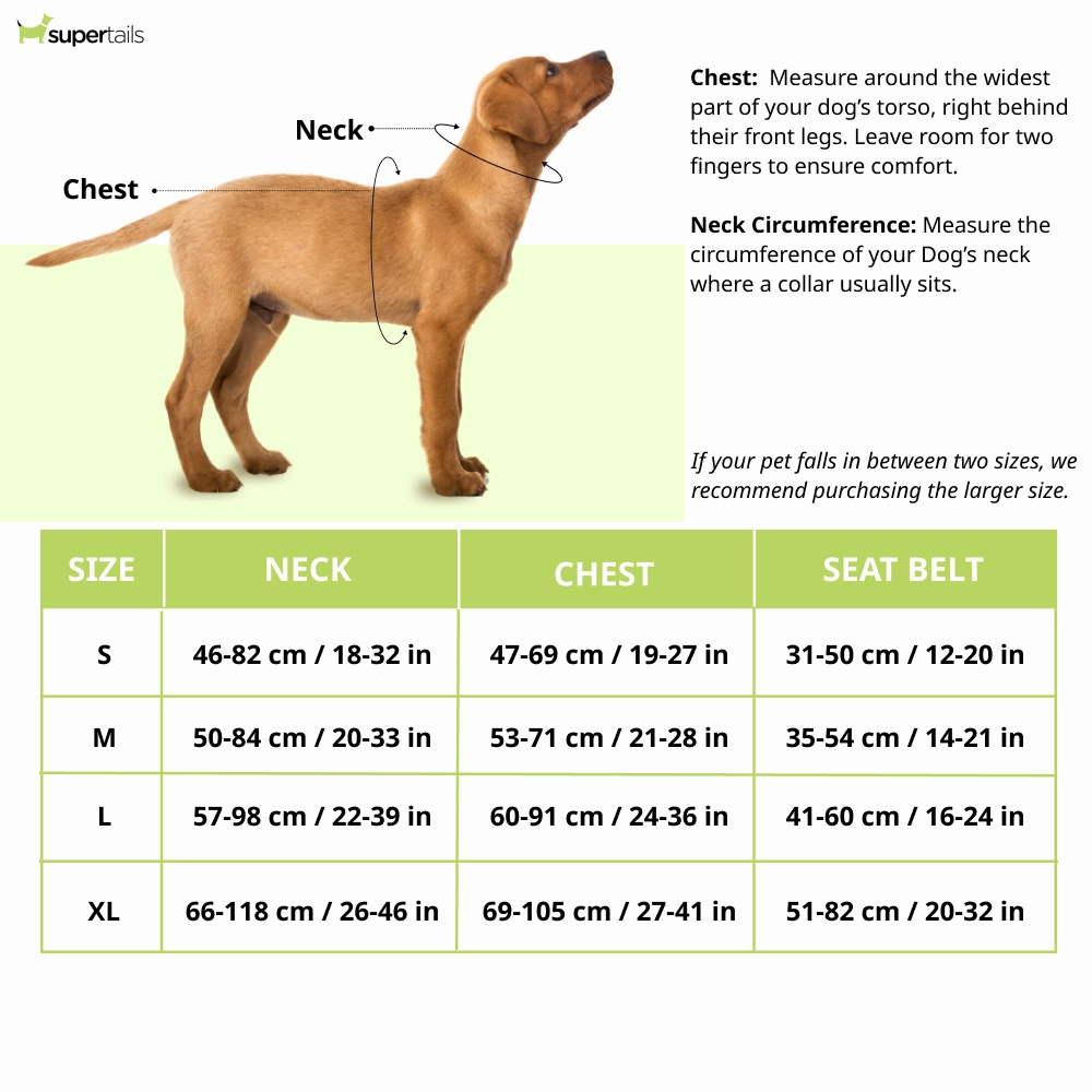 Hunter Maldon Safety Harness for Dogs (Black)