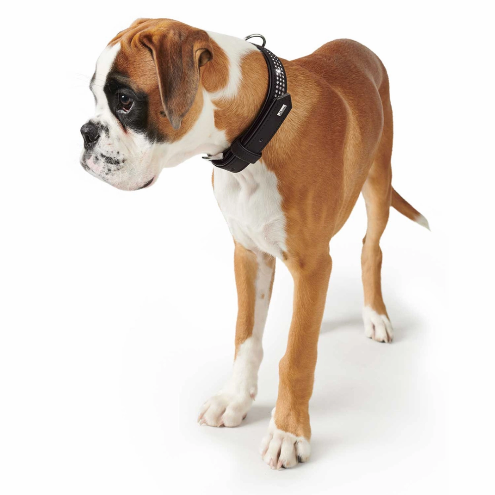 Hunter Softie Triluxe Collar for Dogs (Black)