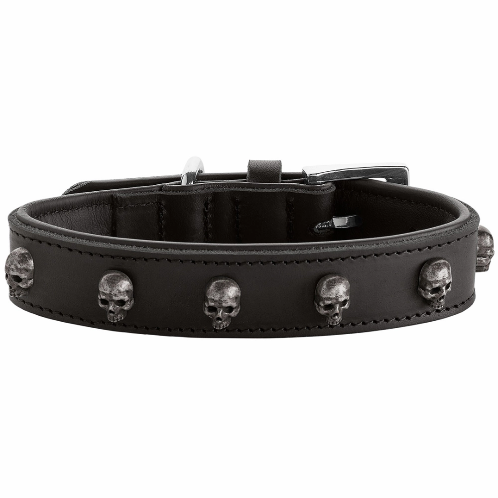 Hunter Tijuana Collar for Dogs (Black)