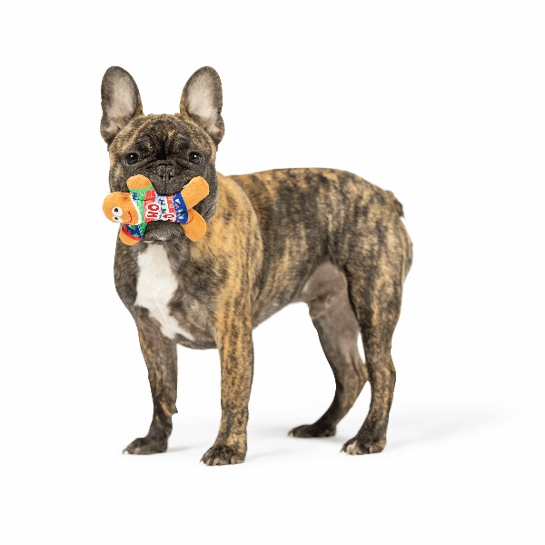Huxley & Kent Tiny Tuff Ugly Sweater Party Dog Toy