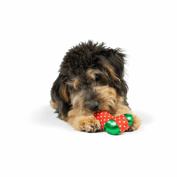 Huxley & Kent Tiny Tuff Ugly Sweater Party Dog Toy