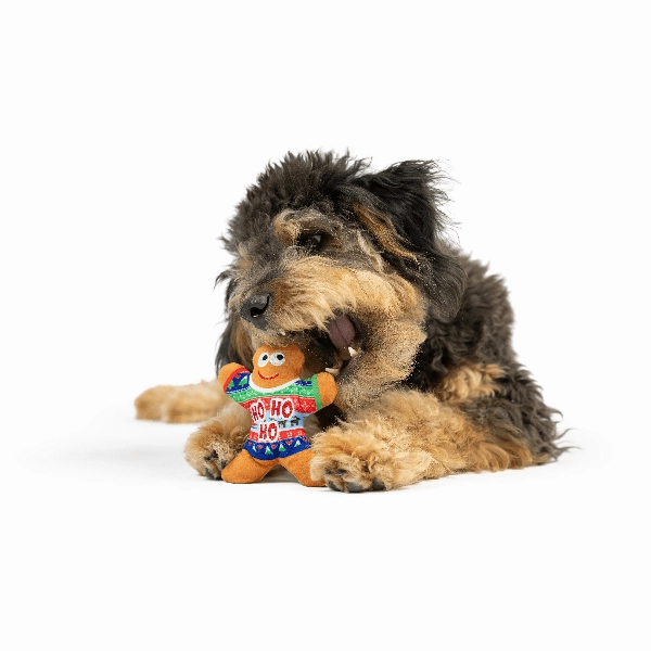 Huxley & Kent Tiny Tuff Ugly Sweater Party Dog Toy