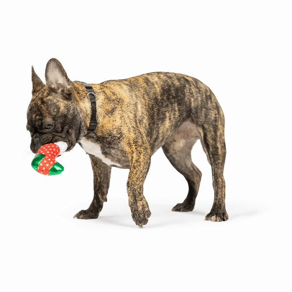 Huxley & Kent Tiny Tuff Ugly Sweater Party Dog Toy