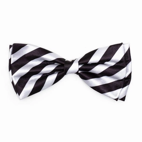 I Do Dog Bow Tie