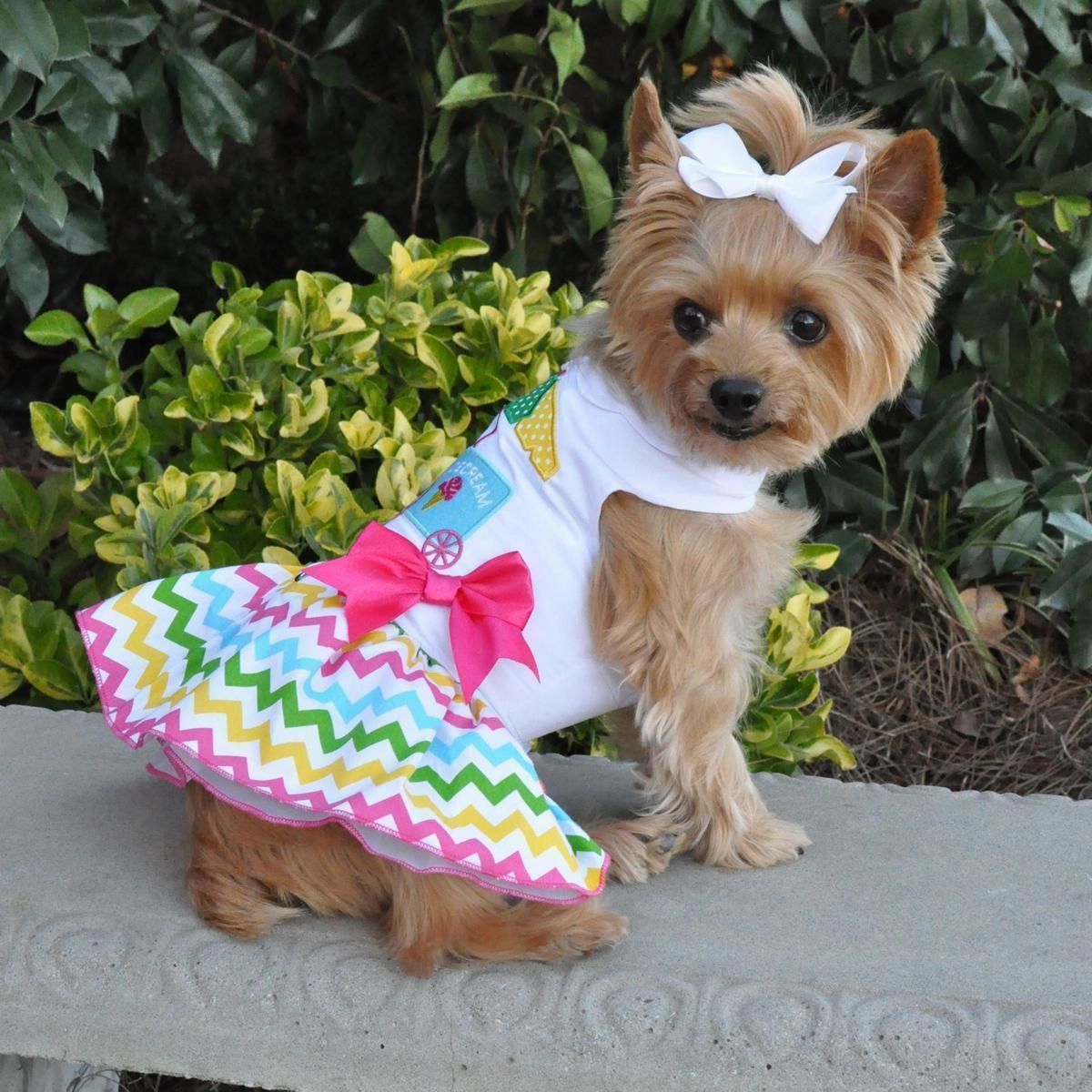 Ice Cream Cart Dog Dress/Matching Leash