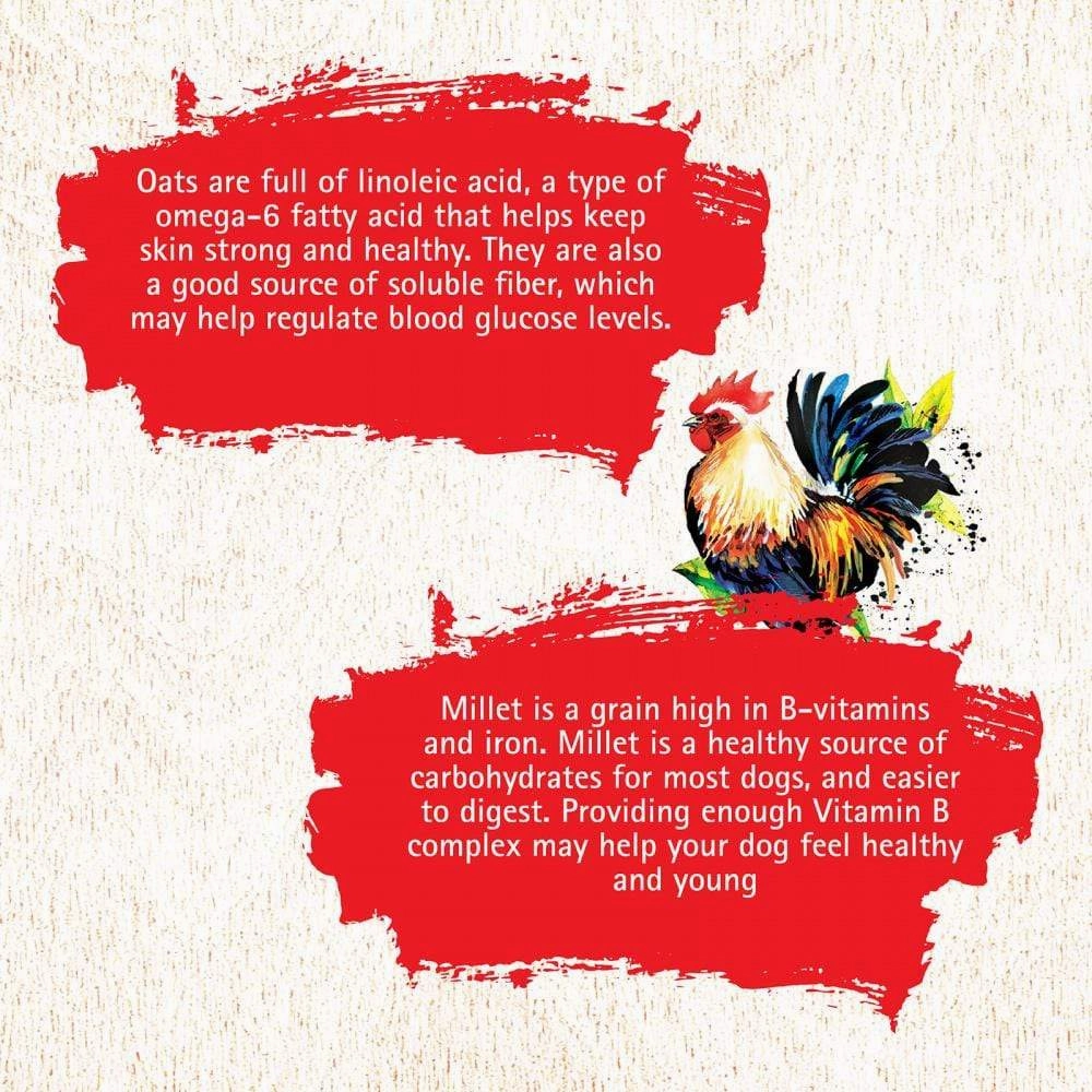 Inception Chicken Recipe Dry Dog Food