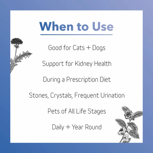 InClover BioRen Bladder & Kidney Health Powder Supplement for Dogs & Cats