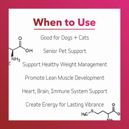InClover BioVibrant Heart Health Powder Supplement for Dogs & Cats