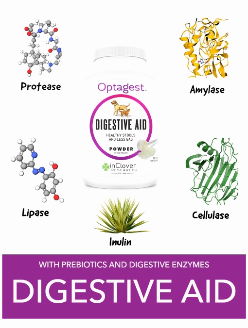 InClover Optagest Plant Based Prebiotics & Digestive Enzymes Travel Sticks for Dogs & Cats
