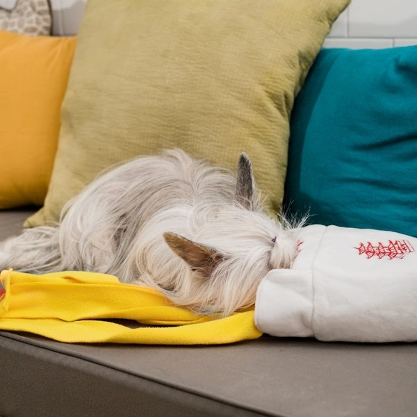 Injoya Take Out Snuffle Toy for Dogs & Cats