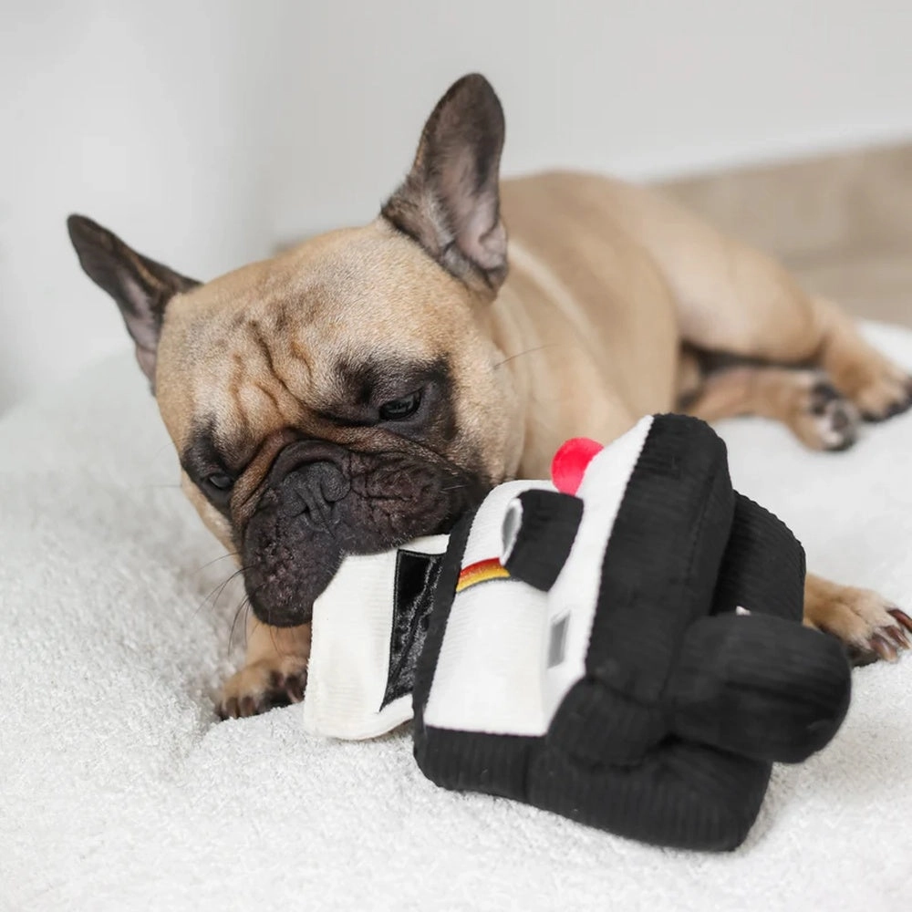 Instant Camera Snuffle   Squeaky Dog Toy