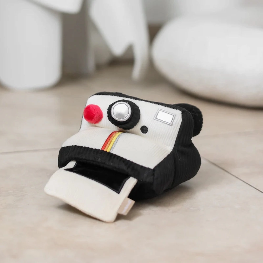 Instant Camera Snuffle   Squeaky Dog Toy