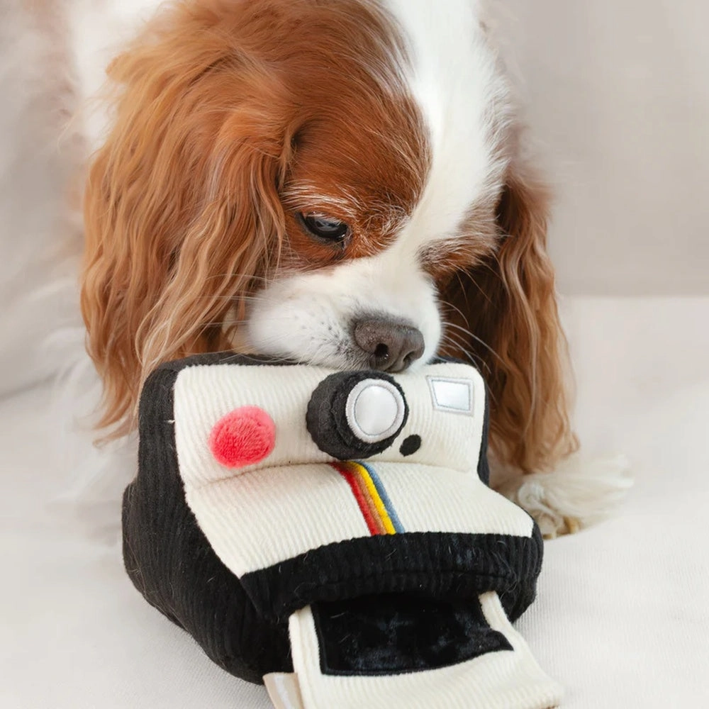 Instant Camera Snuffle   Squeaky Dog Toy