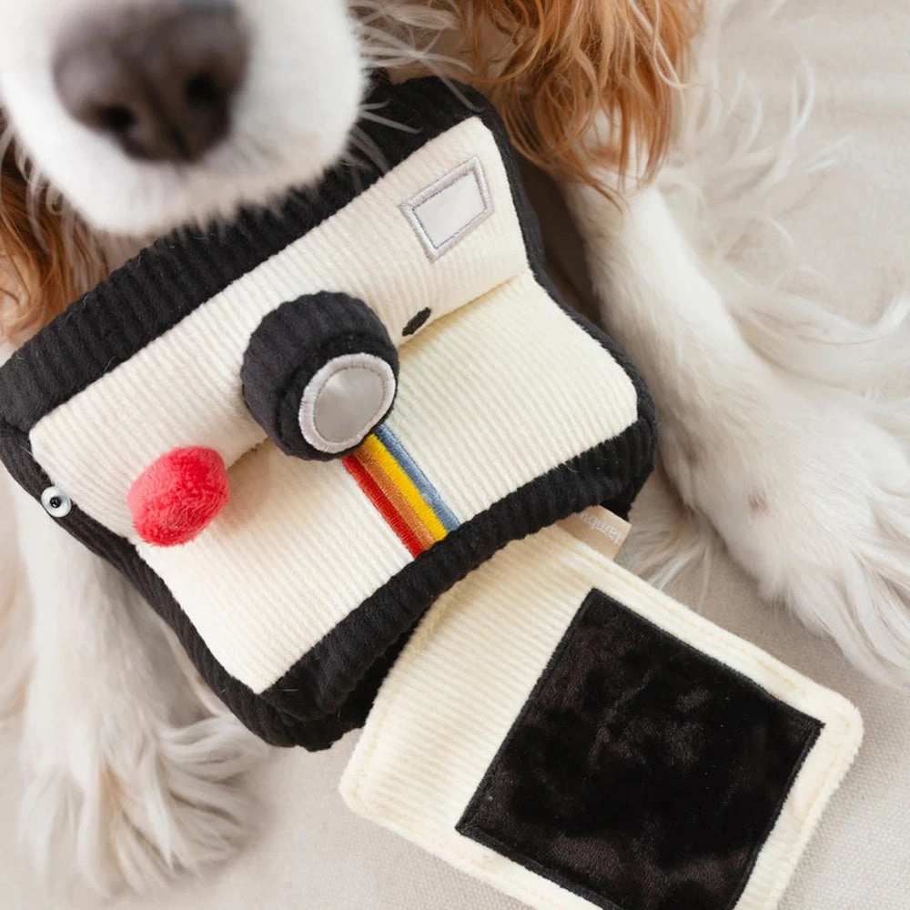 Instant Camera Snuffle   Squeaky Dog Toy
