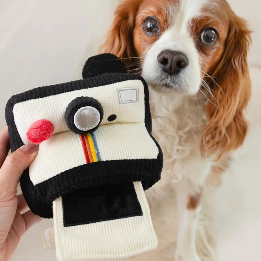 Instant Camera Snuffle   Squeaky Dog Toy