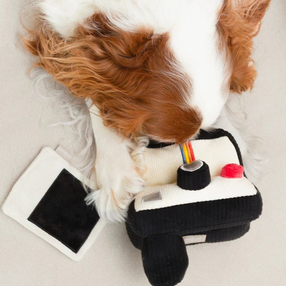 Instant Camera Snuffle   Squeaky Dog Toy
