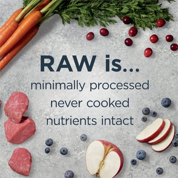 Instinct Raw Boost Whole Grain Real Lamb & Oatmeal Recipe Dry Dog Food