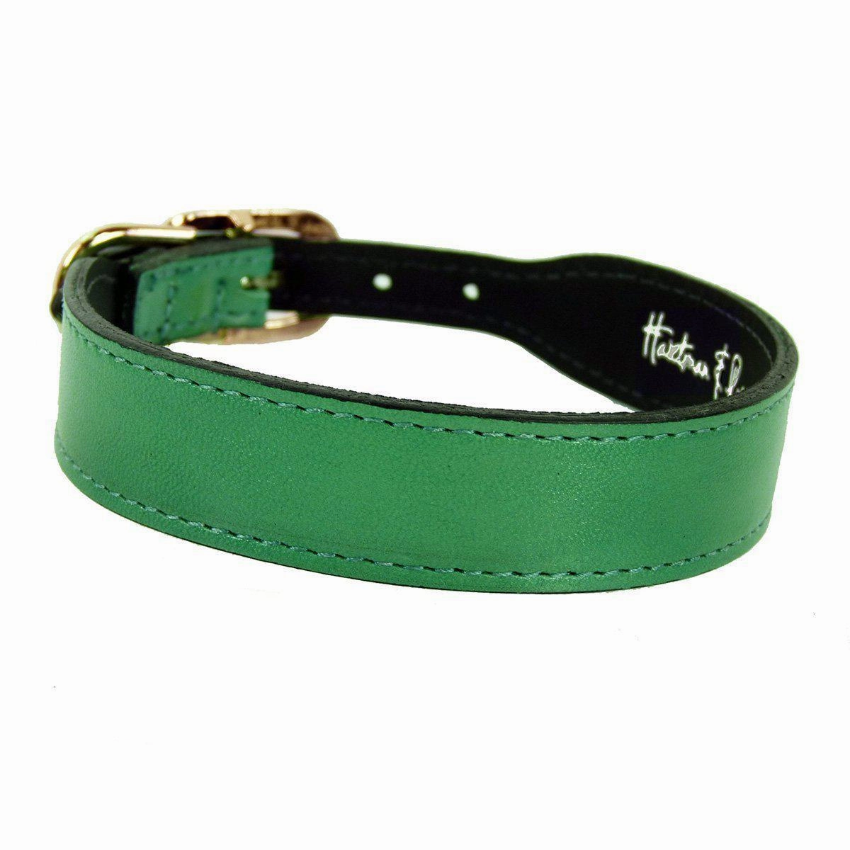 Italian Leather Dog Collar Emerald Green/Gold