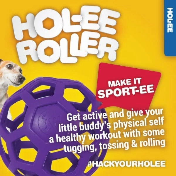 JW Pet Hol-ee Roller Rubber Dog Toy